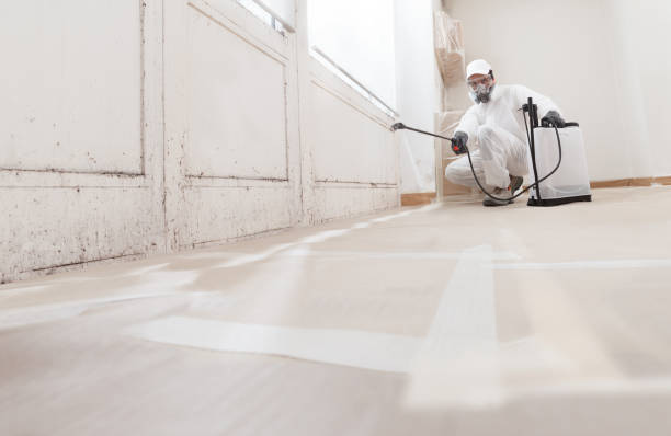 24/7 Emergency Basement Mold Remediation experts in Mechanicsville, MD